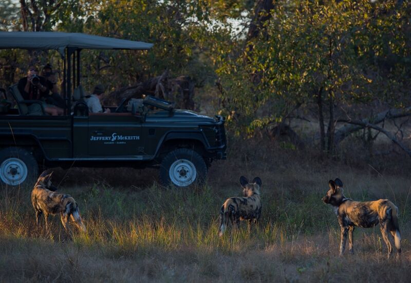 package - Best of Zambia's National Parks - Kafue, Lower Zambezi & SLNP